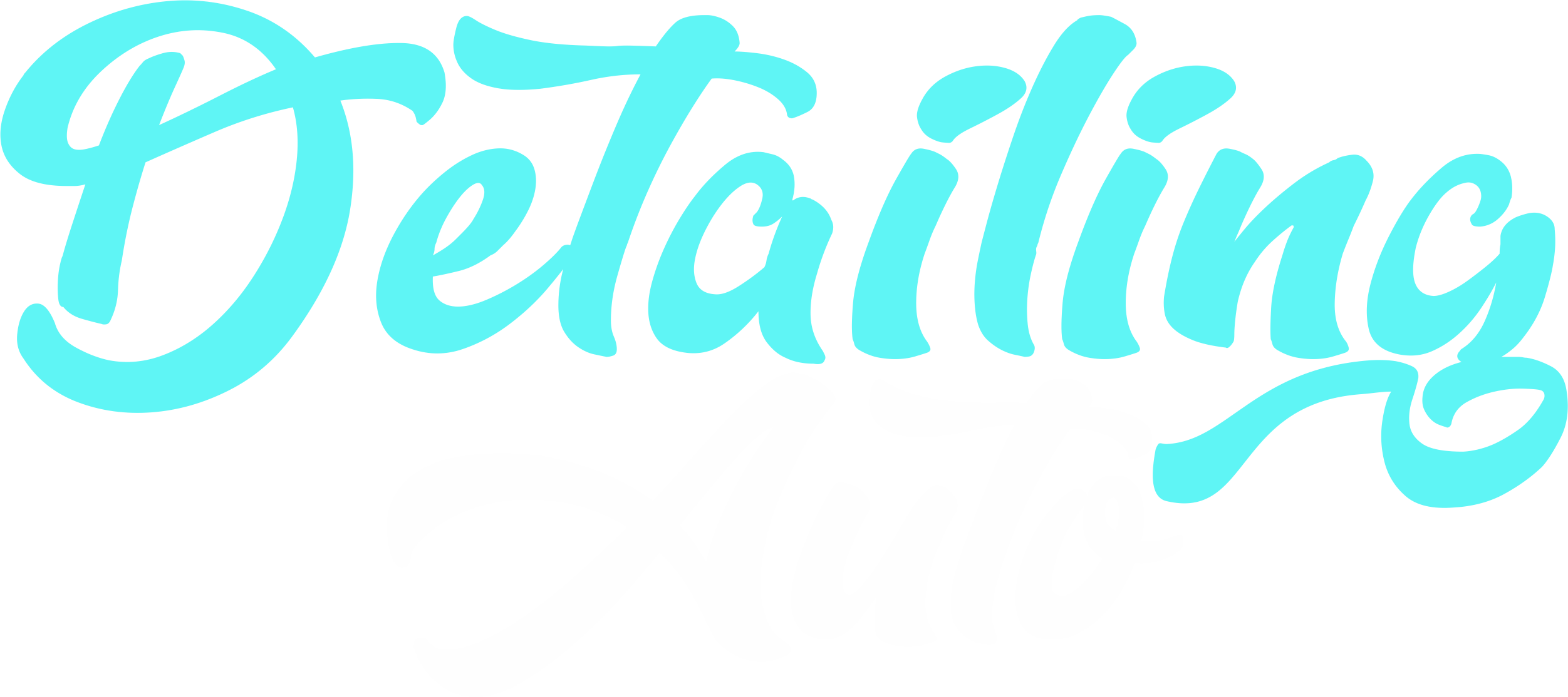 Detailingauto. Detailing premium me shërbim në vend.